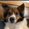 Profilbild von kaypo