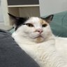 imnotnamu's profile picture