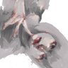 Фото профиля まからん