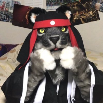 DDWolfs's profile picture