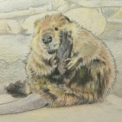 びからった's profile picture