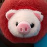 @kchan1612🐷🐽 的头像