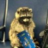 0nlador 2 profil fotoğrafı
