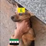 Profilbild von محمد