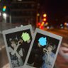しーさん profil fotoğrafı