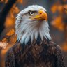 Bigmickey39 profil fotoğrafı