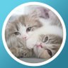 うにほたて profil fotoğrafı