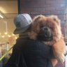 Peppe's profile picture