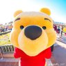 プププのプーさん 的头像
