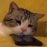 Profilbild von Nwmman