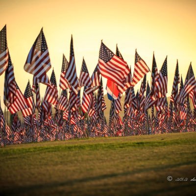 Douglas 🇺🇸🇺🇸🇺🇸🔫's profile picture