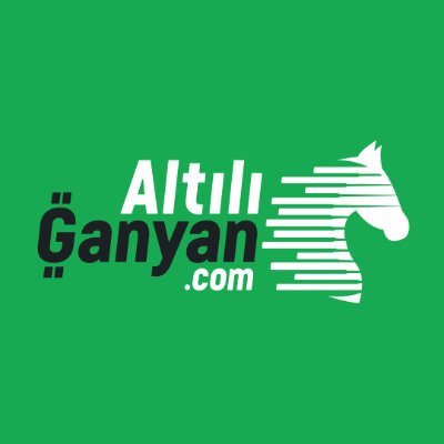 AltılıGanyan.com's profile picture
