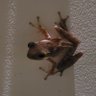 Profilbild von Frog Leap Pratyush Chowdhary