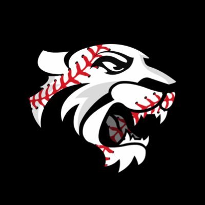 DoaneBaseball's profile picture