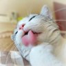 王富贵 profil fotoğrafı