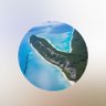 Gönentekerkek's profile picture