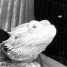 Profilbild von Big Johnson