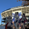 ぬか💫👾☃️🧪🎣's profile picture