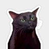DickieB profil fotoğrafı