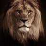 Skrilla's profile picture