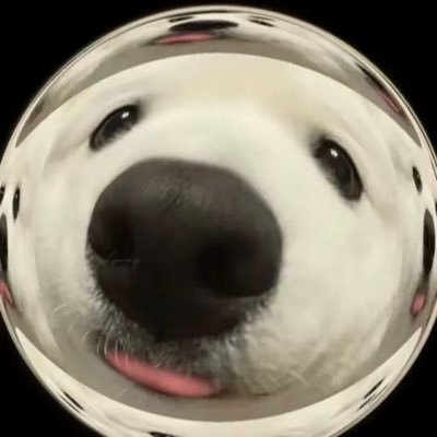 Nam's profile picture