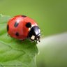 走馬觀花 profil fotoğrafı
