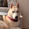 Jerzgirl9 profil fotoğrafı