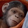 Caesar’s Mum 🧡🎗️'s profile picture