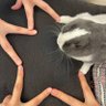 Sophia's profile picture