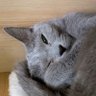うエックス profil fotoğrafı