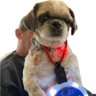 Jason's profile picture