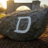 D ROCK's profile picture