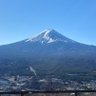ミア's profile picture