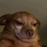 dyenicazaey profil fotoğrafı