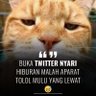 Sujiwotego's profile picture