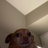 Snoop's profile picture
