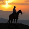 Thecoltfromoldregret- BanjoPatterson 🇦🇺🇬🇧 🐎✝️ 的头像