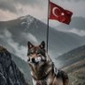 Alpagut 🇹🇷 profil fotoğrafı