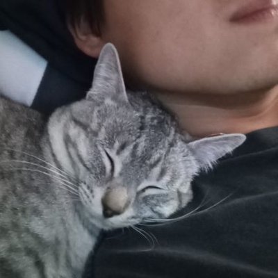DaninoStpd's profile picture
