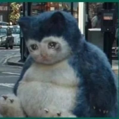 Divit | inactive era |'s profile picture