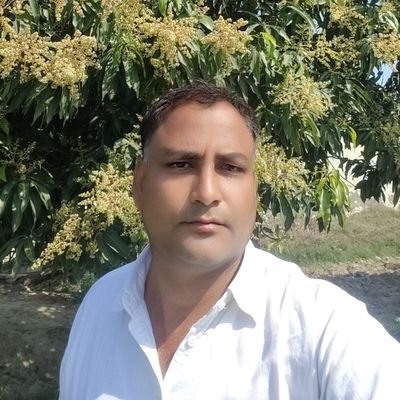 Ravinder Bishnoi's profile picture