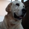 Људмила's profile picture