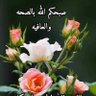 Hassen Adel 的头像