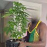 Фото профиля Kofi Herbalist