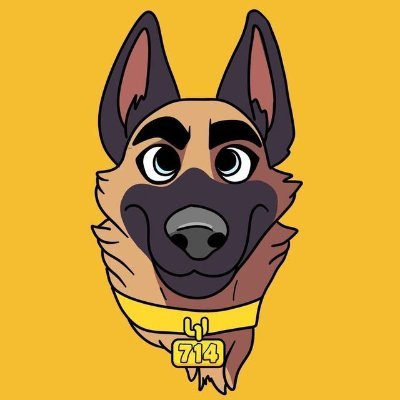 Broccoli - CZ’s Dog🥦's profile picture