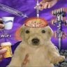 Profilbild von .