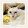 アメジスト's profile picture
