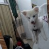 Martha_maris's profile picture