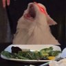 Thurston | The Screaming Cat's profile picture