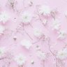 ちさと🎀🪽's profile picture